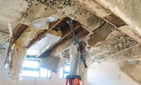 Best Attic Mold Removal  in New Kingman Butler, AZ